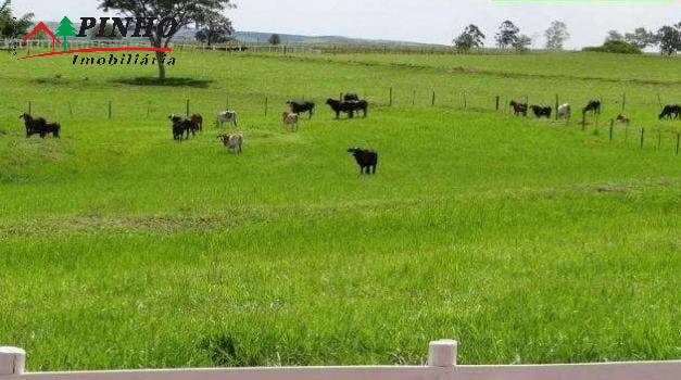 Fazenda à venda com 16 quartos, 163m² - Foto 24