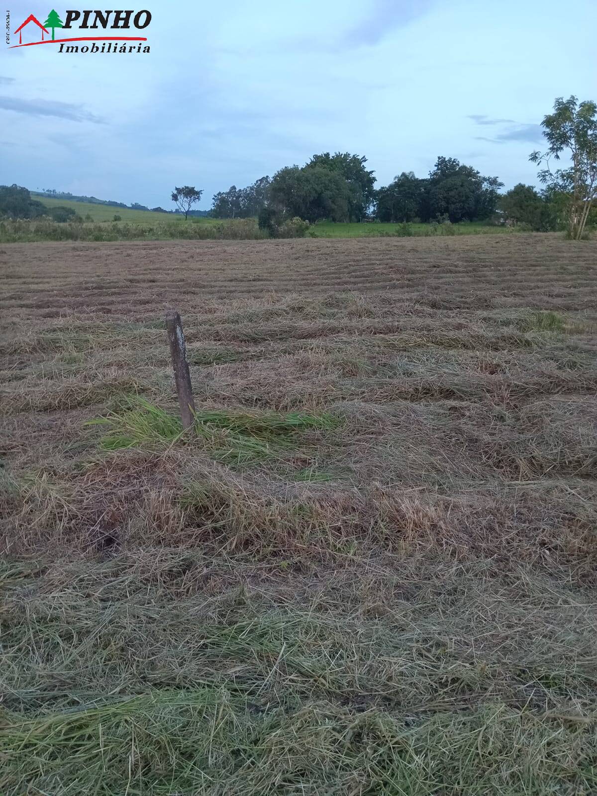 Terreno à venda, 5000m² - Foto 7