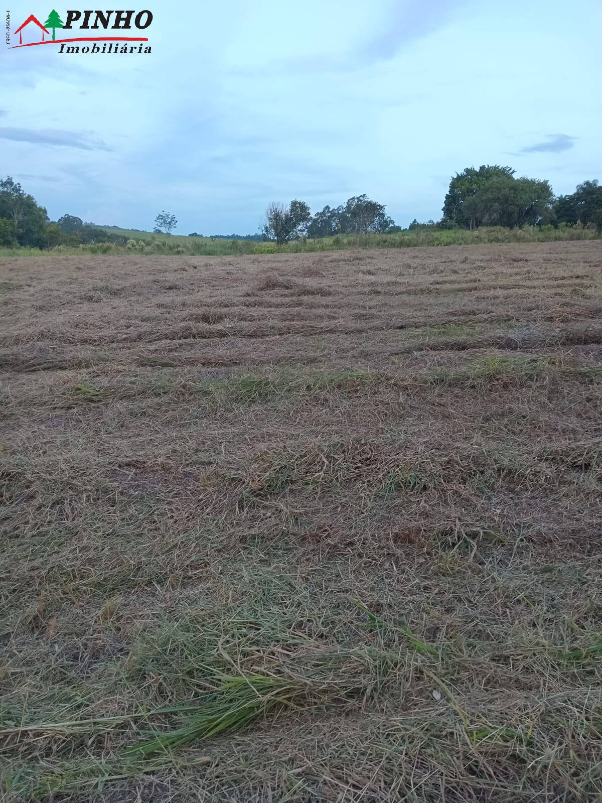 Terreno à venda, 5000m² - Foto 8