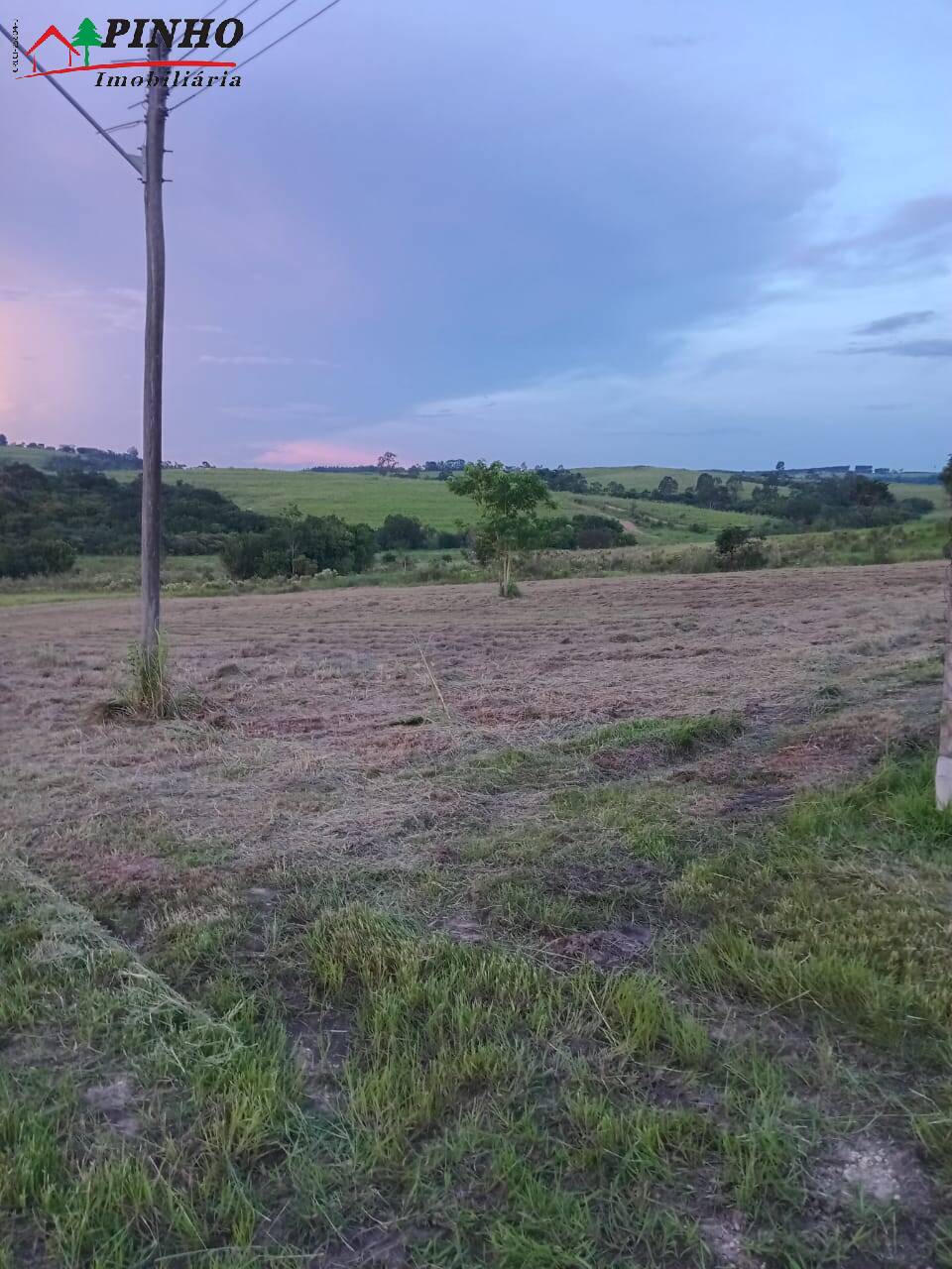 Terreno à venda, 5000m² - Foto 9