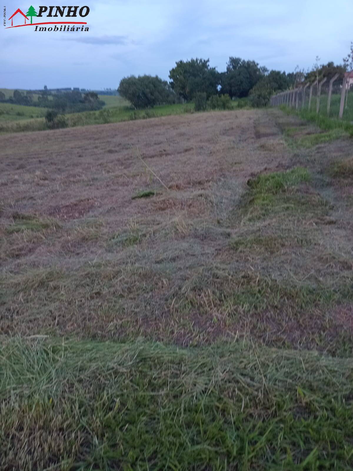 Terreno à venda, 5000m² - Foto 10