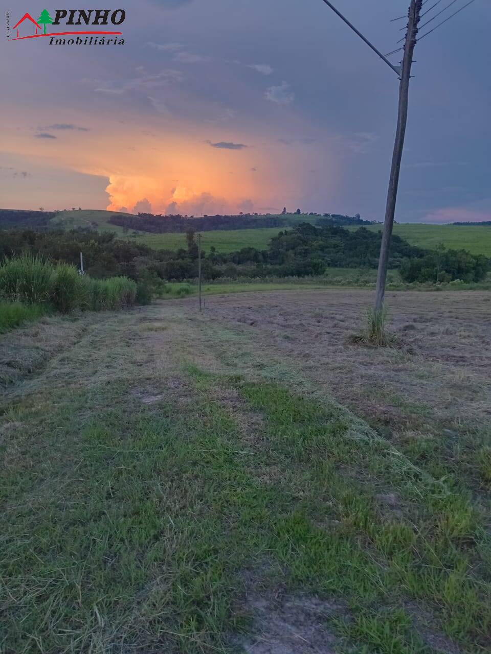 Terreno à venda, 5000m² - Foto 11