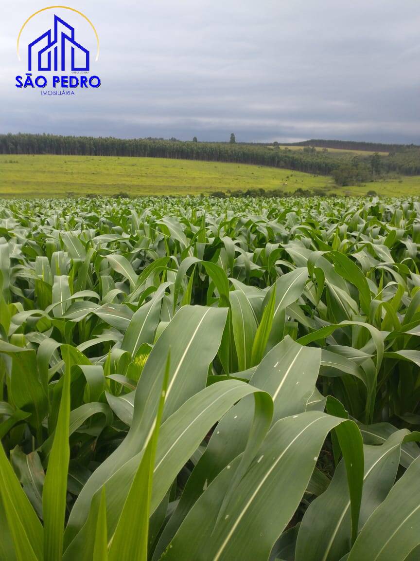 Terreno à venda, 19m² - Foto 2