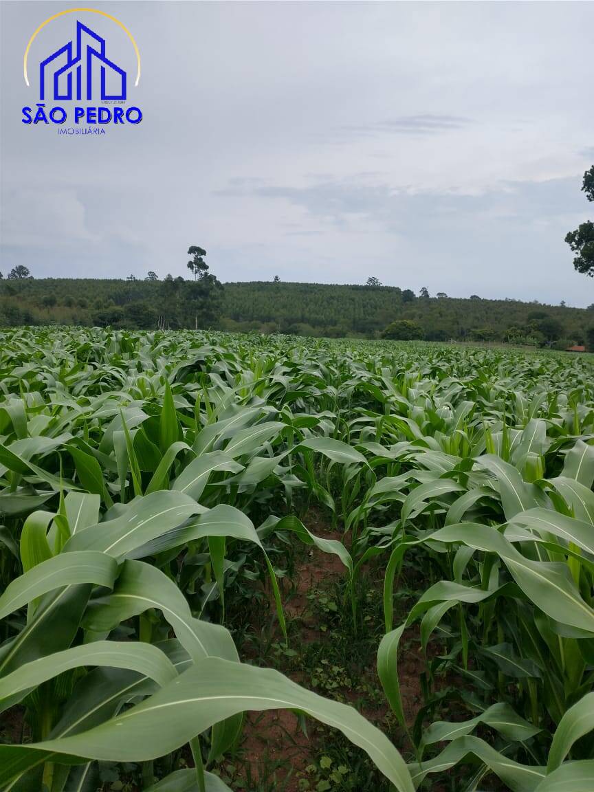 Terreno à venda, 19m² - Foto 5