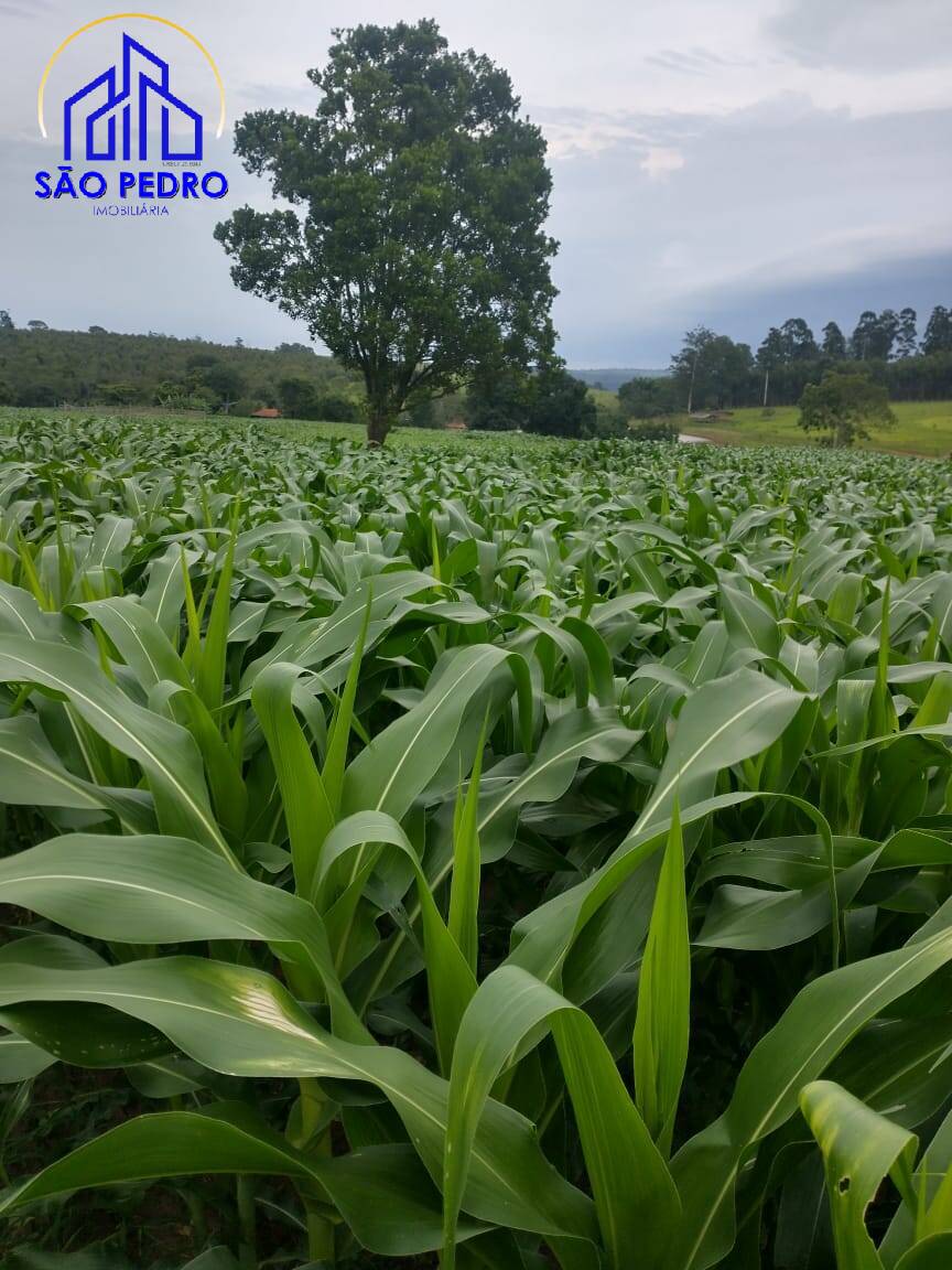 Terreno à venda, 19m² - Foto 9